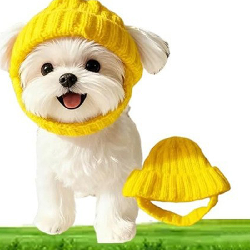 1Pc Maltese Dog Beanie Hat Sof - Knit Beanie Hat Warm 评论和价格